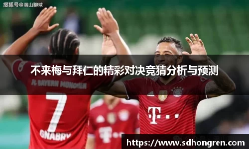 bsports登录入口